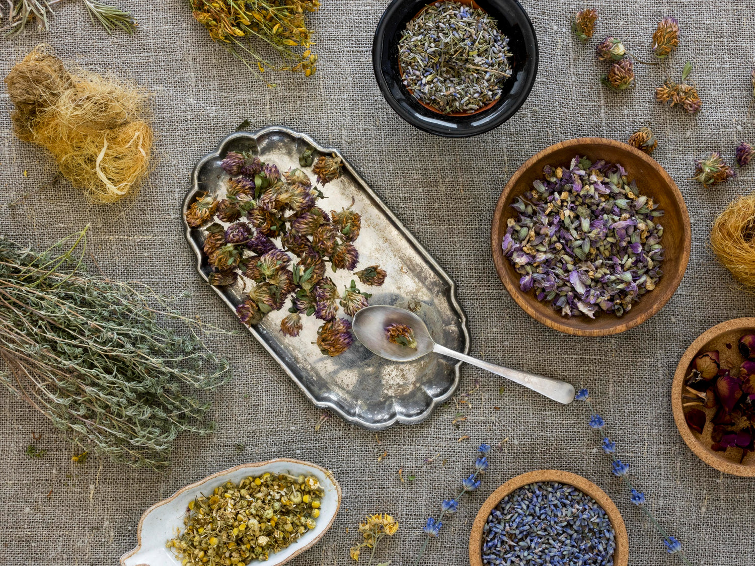 Le sostanze psichedeliche naturali più potenti e i loro effetti