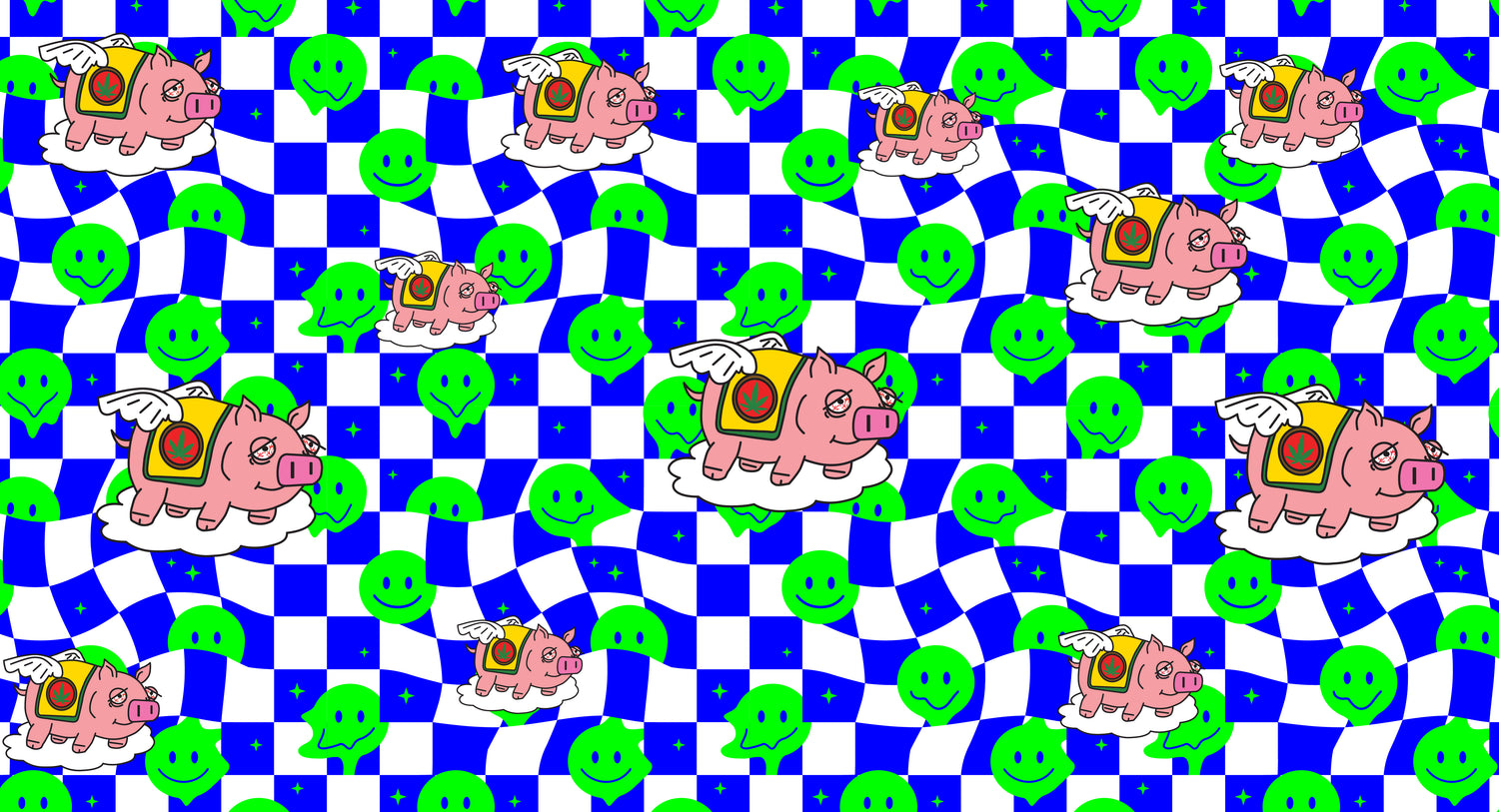 Funghi allucinogeni: guida per principianti