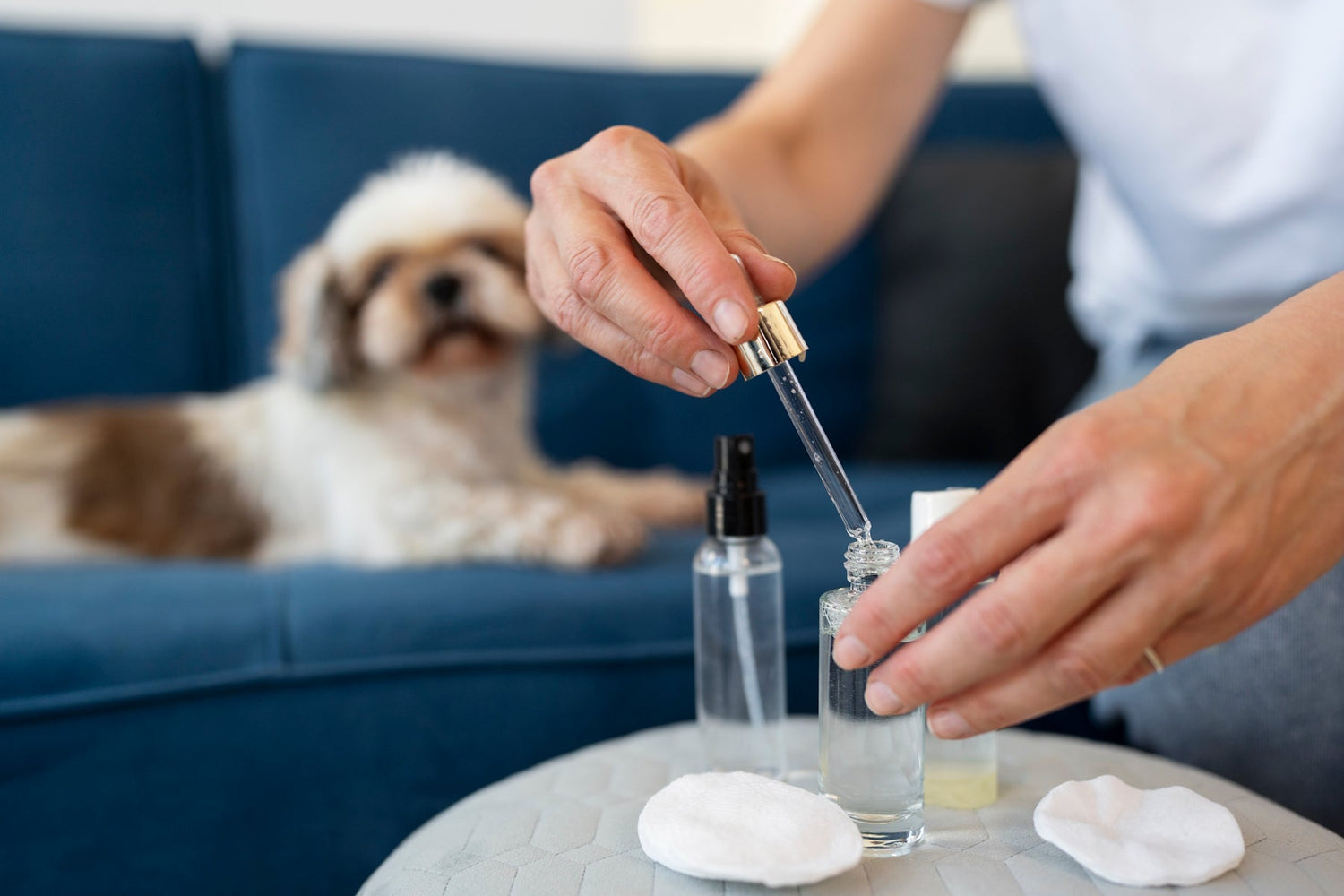 CBD per animali domestici: guida alla sicurezza, dosaggi, benefici