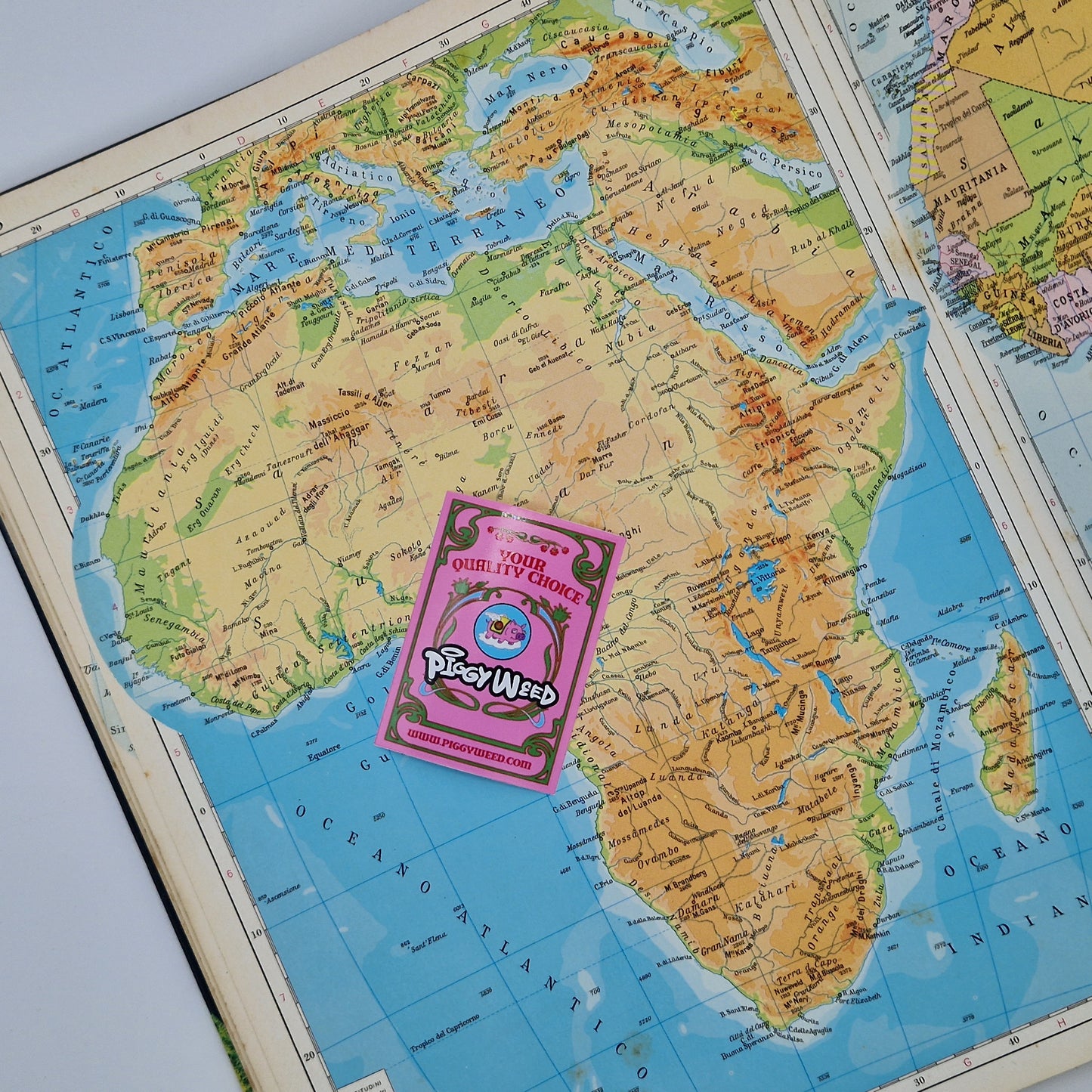 ROOIBOS & HONEYBUSH - MISCELA AGLI AGRUMI - Capetown BIO