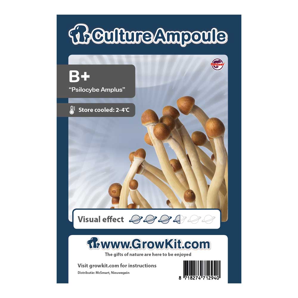 Psilocybe cubensis B+ spore vials