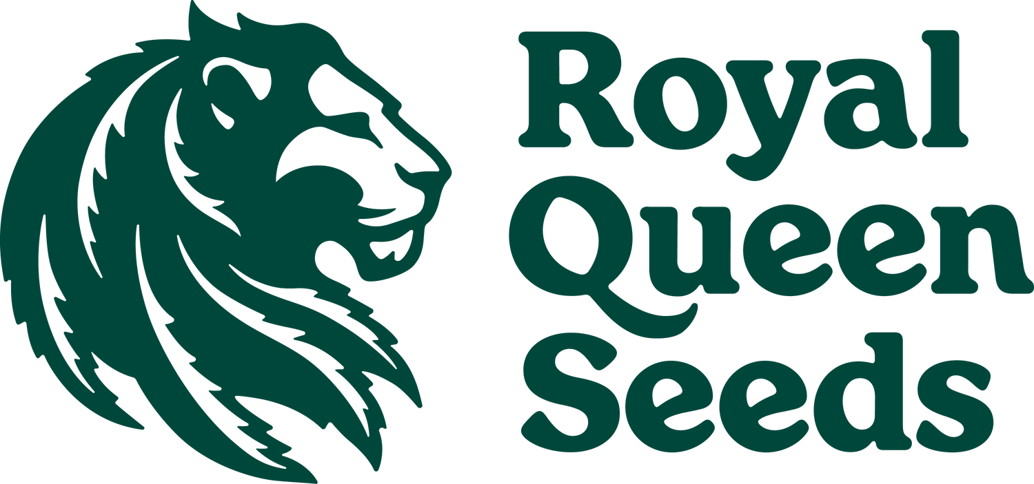Royal Queen Seeds