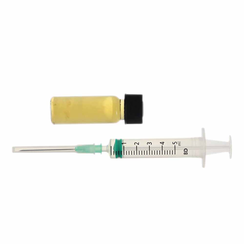 Psilocybe cubensis B+ spore vials