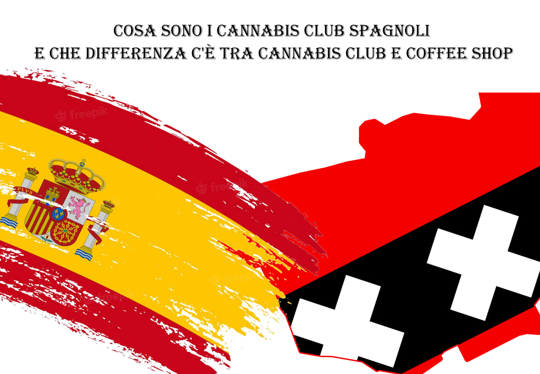 Cosa sono i cannabis club spagnoli e che differenza c'è tra Cannabis club e Coffee shop