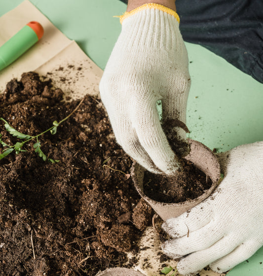 https://piggyweed.com/blogs/coltivazione/i-diversi-tipi-di-fertilizzanti-per-la-cannabis