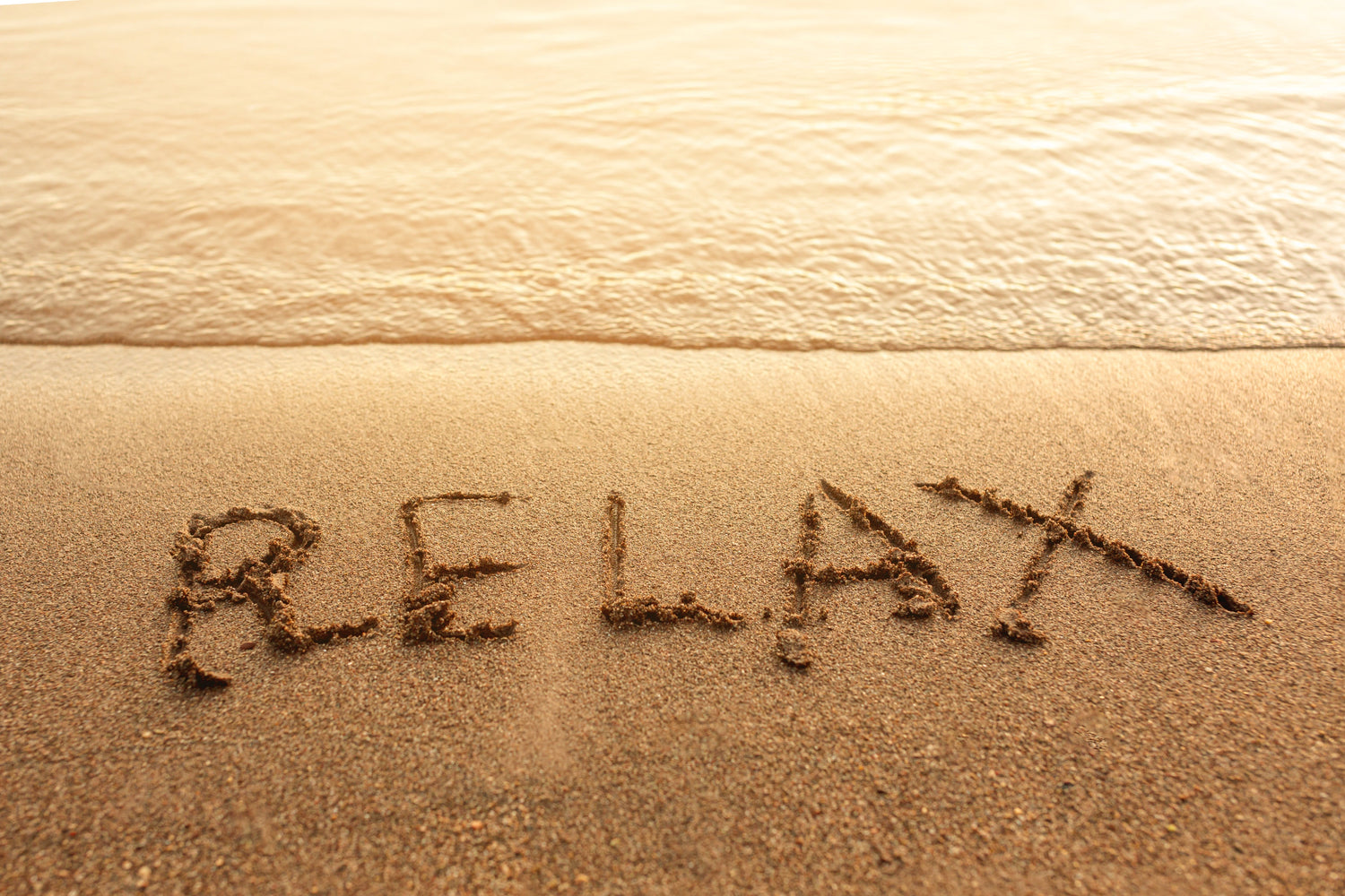 Scutellaria Lateriflora: la pianta rilassante della medicina naturale