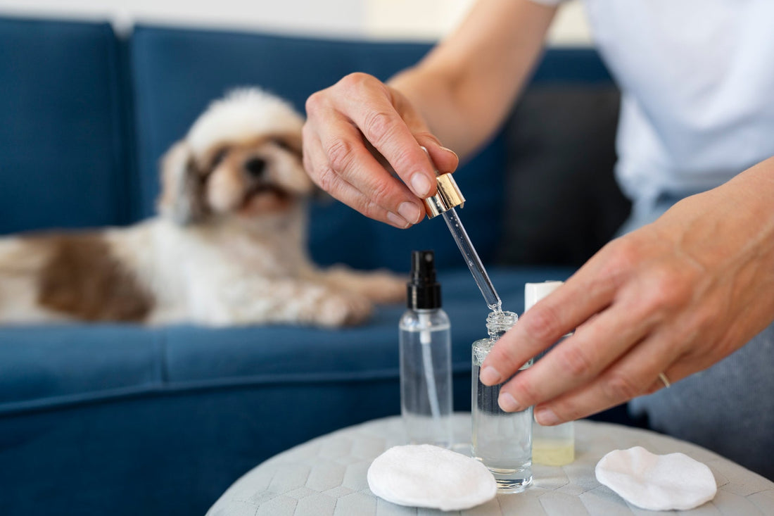 CBD per animali domestici: guida alla sicurezza, dosaggi, benefici