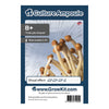 Fiale di spore Psilocybe cubensis B+