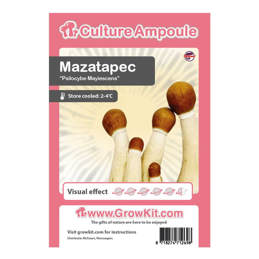 Mazatapec - Set di ampolle per la cultura