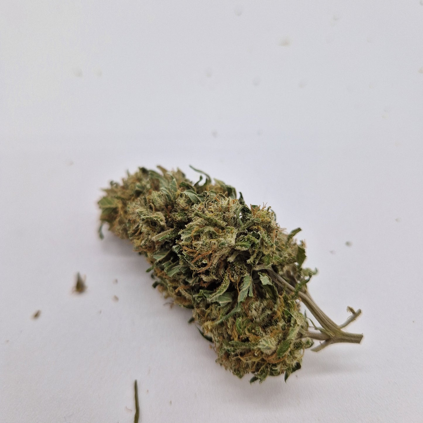 Top Quality Piggyweed selection CBD12+