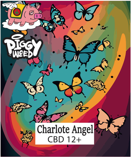 Piggyweed Charlote Angel CBD12+